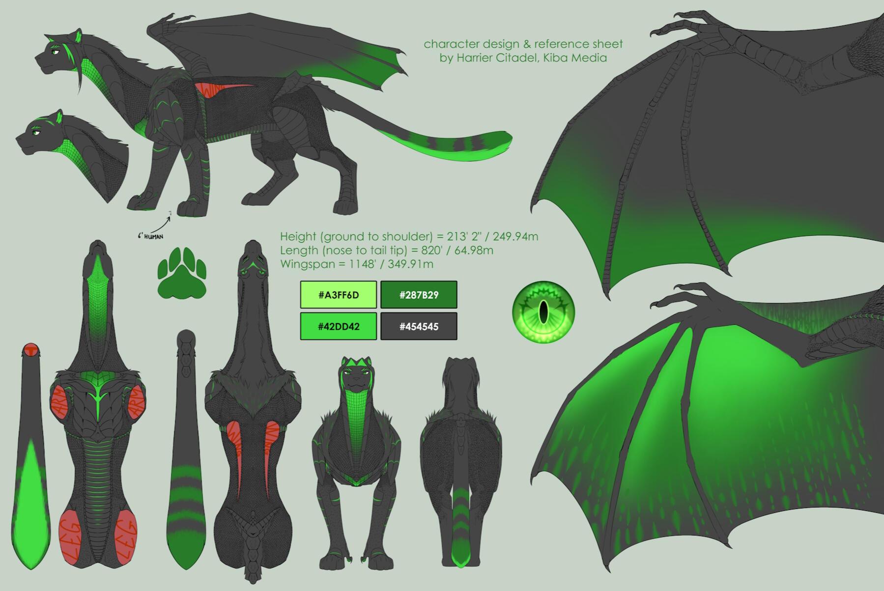 Character Ferel Reference